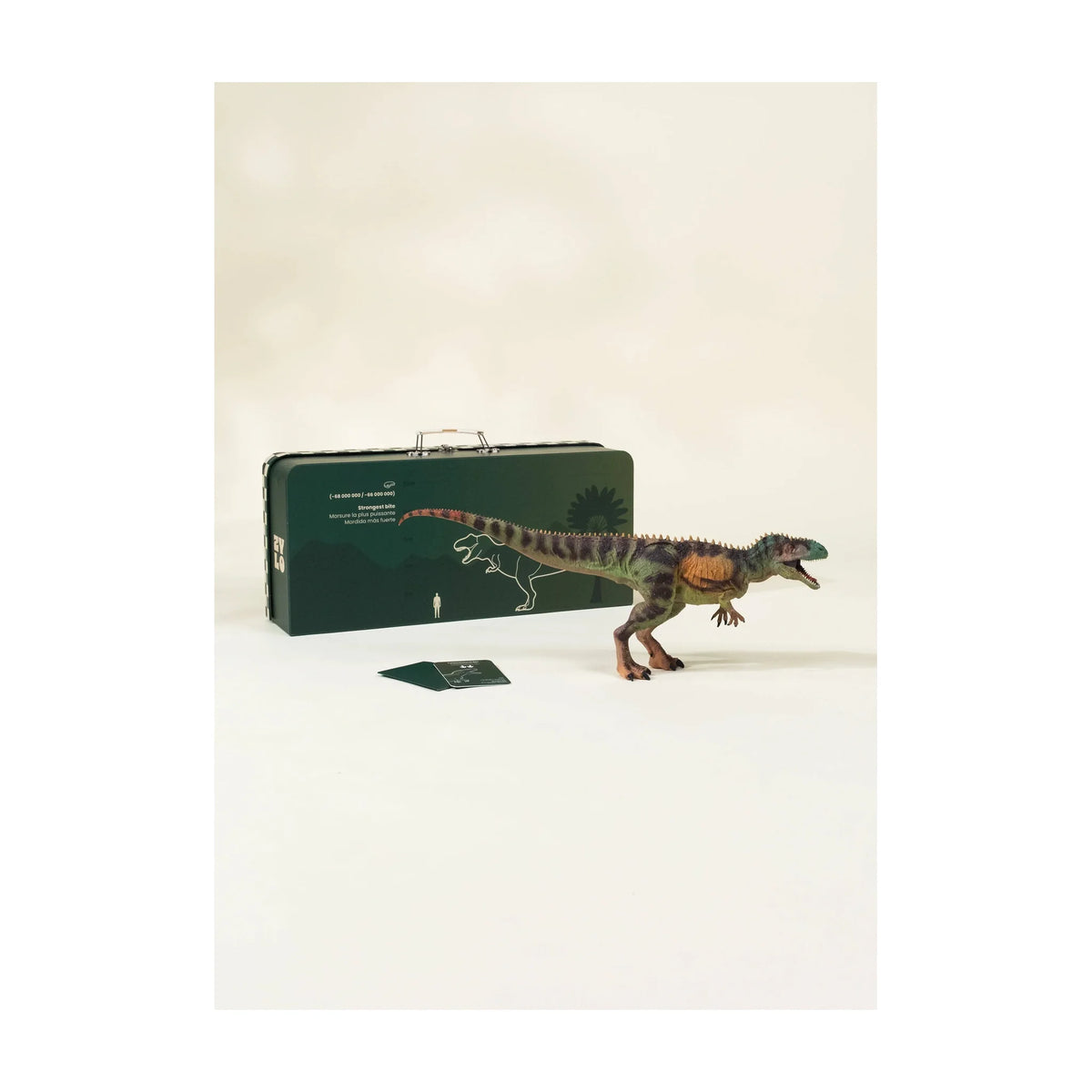 Tyrannosaurus Rex Dinosaur in a Collectible Box