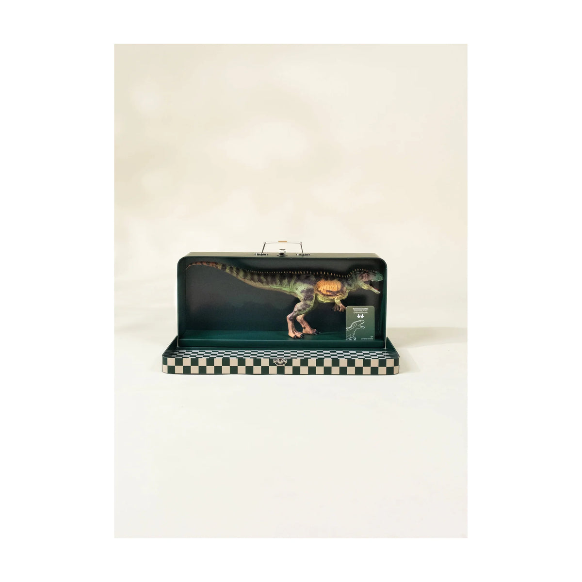 Tyrannosaurus Rex Dinosaur in a Collectible Box