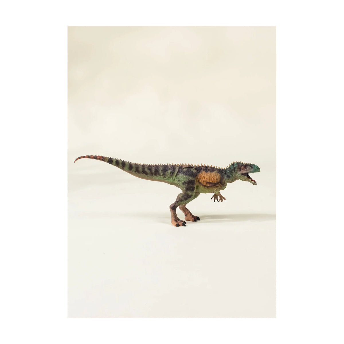 Tyrannosaurus Rex Dinosaur in a Collectible Box