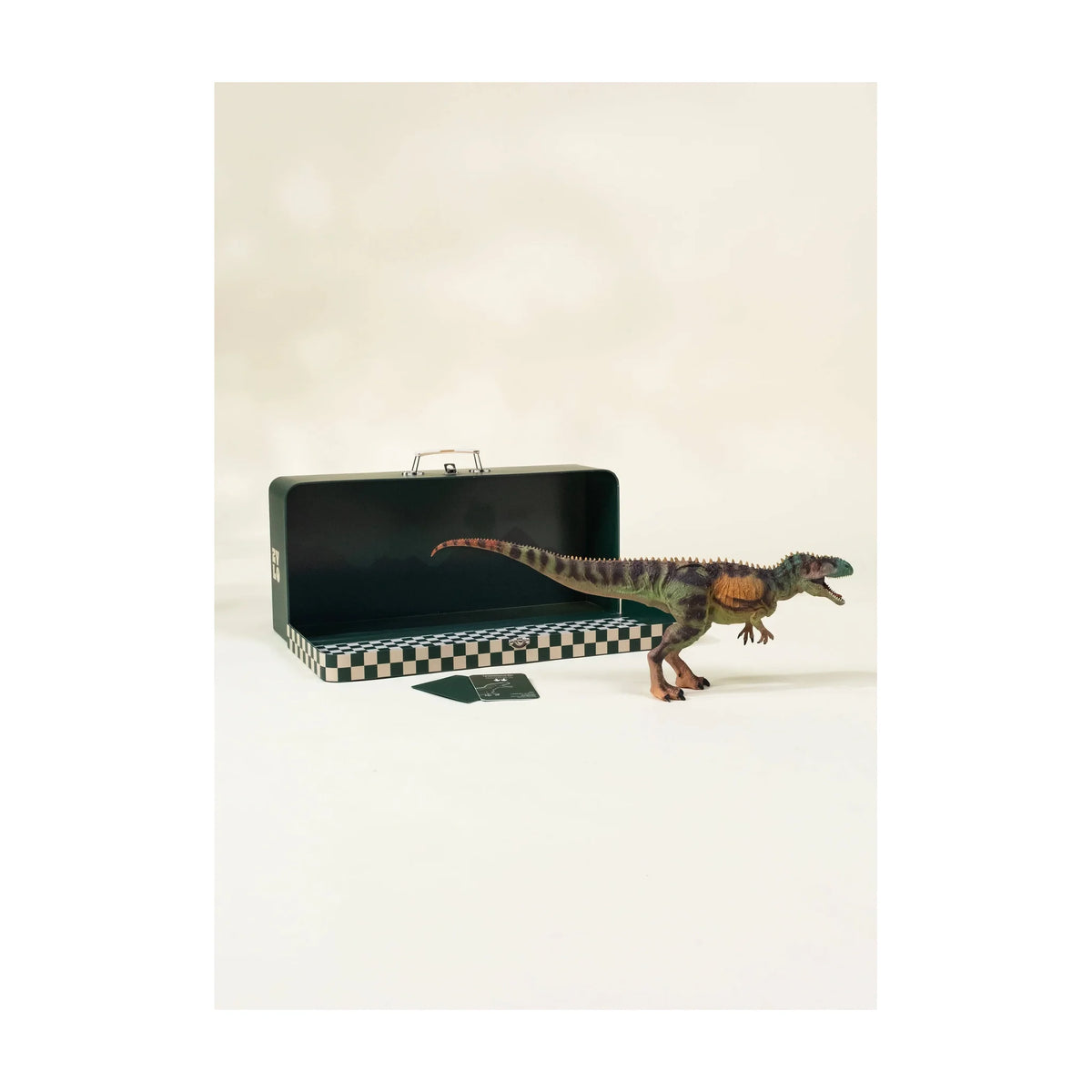 Tyrannosaurus Rex Dinosaur in a Collectible Box